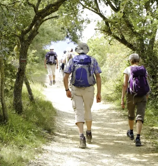 Randonnée sur le Camino Francès