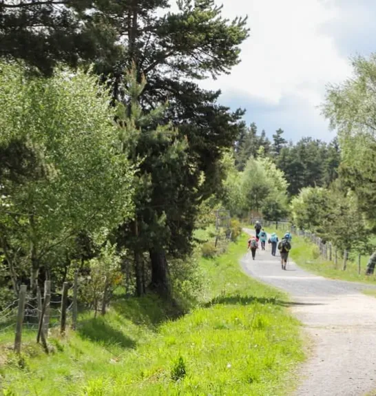 chemins-compostelle-groupe