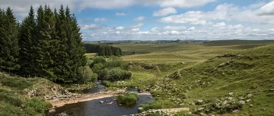 Les grands espace de l'Aubrac