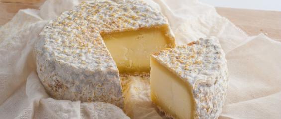 fromage de chèvre des pyrénées guetty images