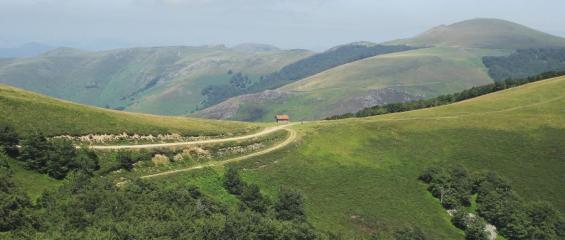 paysage-montagnes-pyrenees-lesroutescaminosantiagounsplash.jpg