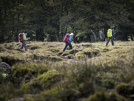 Pèlerins sur la voie du Puy-en-Velay vers Compostelle 
