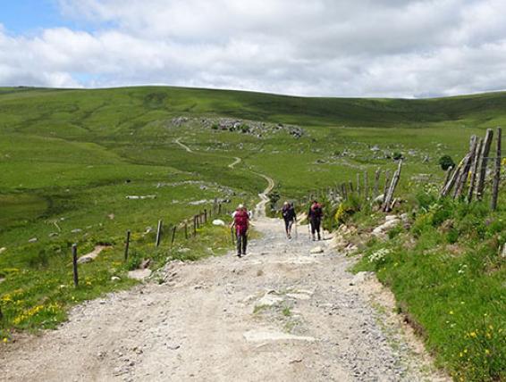 Randonneurs sur le chemin de Saint-Guilhem dans l'Aubrac - MGuyon