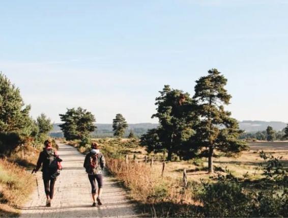 deux marcheurs chemin de compostelle aubrac