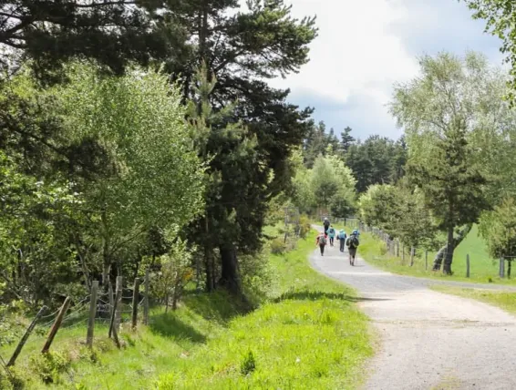 groupe de marcheurs sur la voie du puy